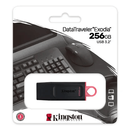 USB-накопитель, Kingston, DTX/256GB, 256GB, USB 3.2, Чёрный