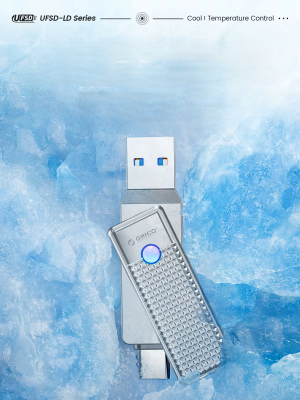 USB-накопитель, ORICO, 256Gb, USB-C/USB-A (ORICO-UFSD-LD-256G-SV-BP)