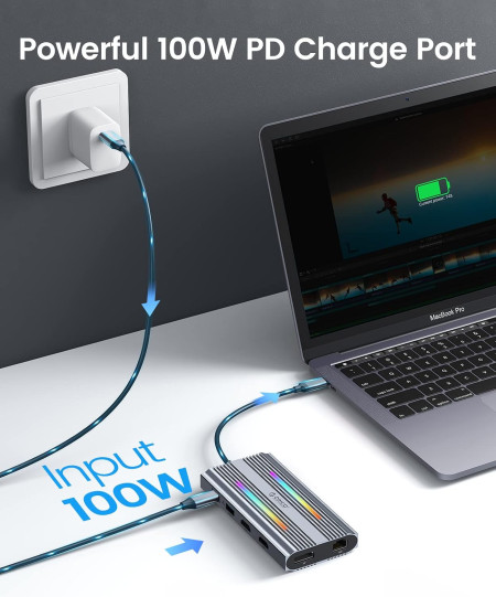 Док-станция USB-C 12-в-1 (ORICO-XDR-X33-RG-BP)