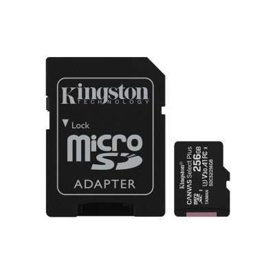 Карта памяти microSD с адаптером Kingston, SDCS2/256GB, MicroSDXC 256GB, Canvas Select Plus, Class
