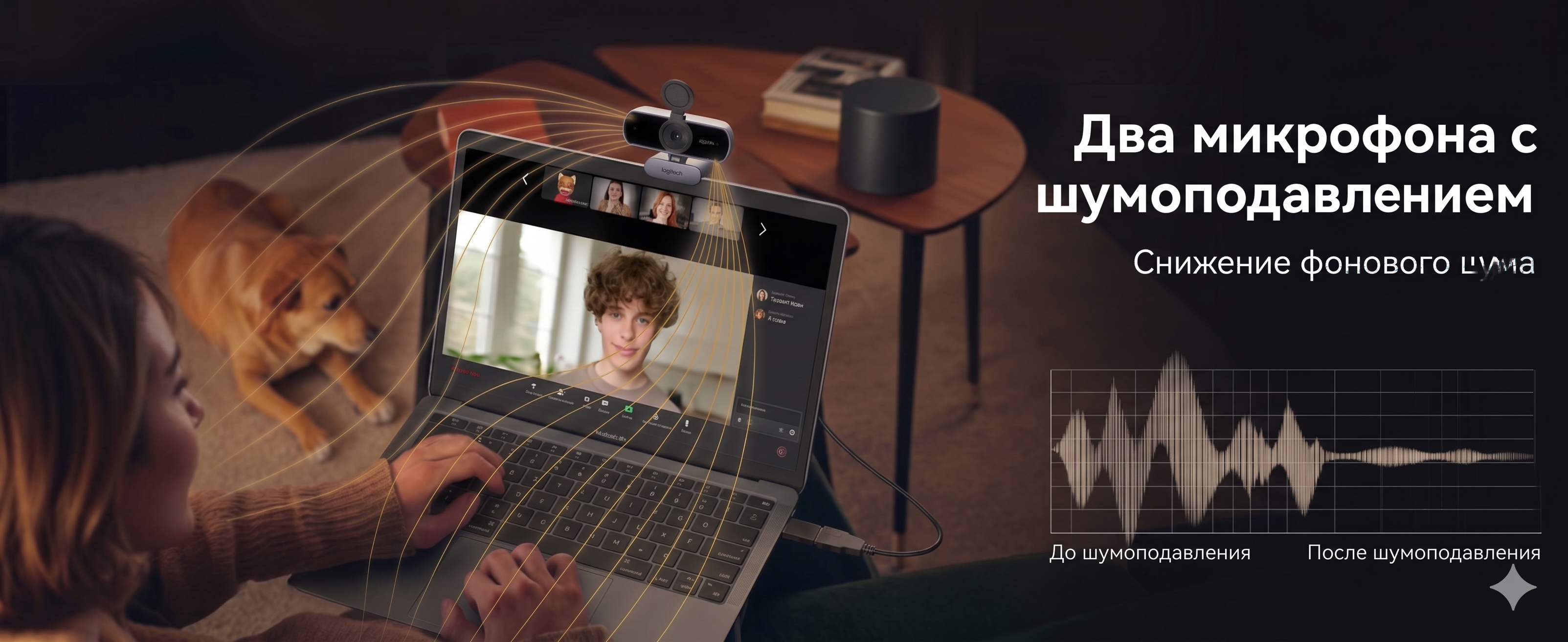 Два микрофона с шумопадавлением